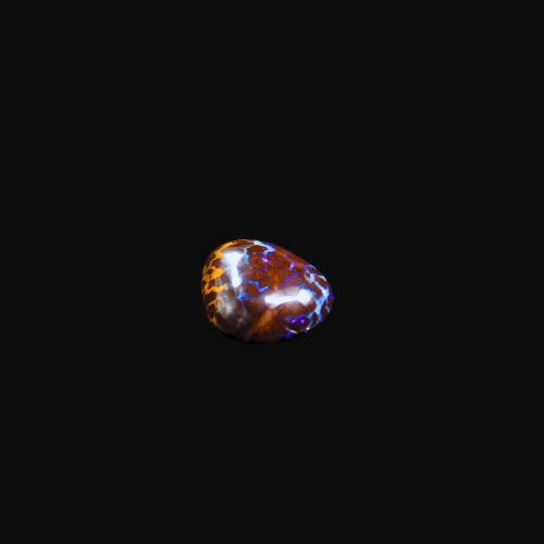 QLDBRPO-053 PIC5