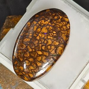 Standout Queensland Boulder Opal 20.10 ct