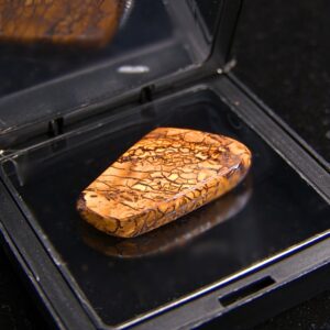 Amazing Queensland Boulder Opal 51.30 ct