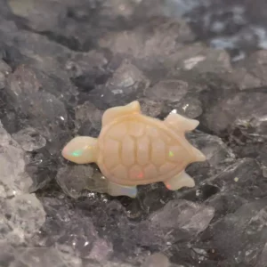 "Alby the Albino Turtle" Coober Pedy Natural White Opal Carving 11.47 ct. (with inclusions)