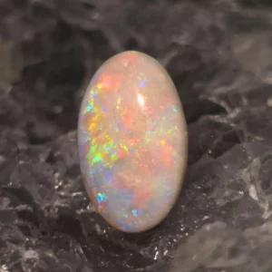 'Selune Fosséa' Coober Pedy Natural Solid Dark Opal Shell Fossil 4.00 ct.